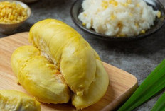 Cara Efektif Menghilangkan Bau Durian di Mulut