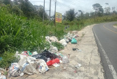 Larangan Diabaikan, Sampah Masih Menumpuk di  Ruas Jalan Nasional Tegajul