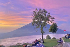 Menjulang di Atas Kabut,  Pesona Telomoyo yang  Memikat Setiap Mata