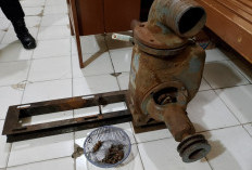 Curi Pompa Air di Kebun Pepaya, Dua Warga Way Napal Dibekuk