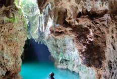 Pesona Segar Kolam  Alami Guntung Nyaru