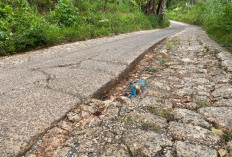 Perbaikan Jalan Giham-Pahayujaya, Pemkab Lambar Siapkan Rp12,4 M