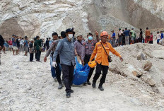 Pencarian Korban Longsor Tambang di Cirebon Dilanjutkan, Fokus di Area Batu Besar