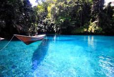 Labuan Cermin, Pesona Danau Dua Rasa di Kalimantan Timur