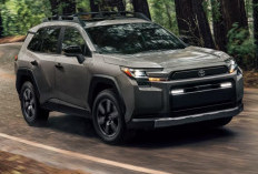 Toyota RAV4 PHEV Berpotensi Meluncur,  Warnai Pasar Otomotif Indonesia 2026