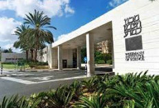 Institut Sains Weizmann Hancur Diserang Iran, Dunia Ilmiah Israel Berduka