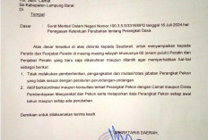 Nukman Imbau Peratin Tak  Gegabah Pecat Aparatur 