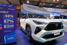 Tren Penjualan Mobil Hybrid di Indonesia:  Prospek Cerah dan Daftar Harga Terbaru 