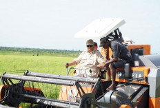 Presiden Prabowo Subianto Tinjau Proyek Food Estate di Merauke