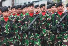 Koalisi Masyarakat Sipil Soroti RUU TNI, Khawatirkan Kembalinya Dwifungsi Militer