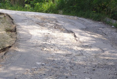 SOAL KERUSAKAN JALAN PROVINSI, Pengendara Nantikan Perbaikan 