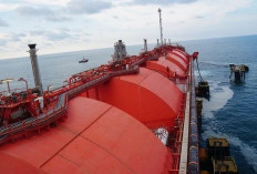 Stok BBM RI Paling Tipis di ASEAN,  Ketahanan Energi Perlu Diperkuat