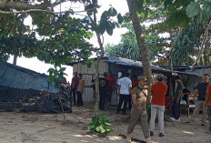 Tenggat 30 Oktober:  Pemilik Bangunan Liar di  Labuhan Jukung Wajib Bongkar