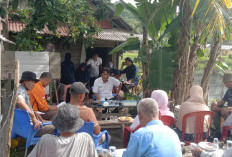 DKPP Pesbar Gelar Sekolah Lapang Pengelolaan Hama Terpadu untuk Petani Padi