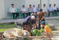 Pemkab Pesbar Gelar Salat Idul Adha 1446 H di Pantai Labuhan Jukung
