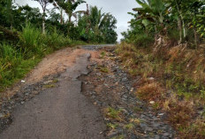 Warga Pekon Mekarjaya  Nantikan Pembangunan Jalan 