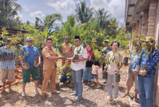 Target Jadi Sentra Ekonomi Baru Kagungan Kembangkan Durian Duri Hitam
