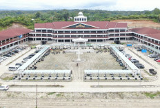 Pemkab Pesbar Buka Seleksi Terbuka  10 Jabatan Pimpinan Tinggi Pratama