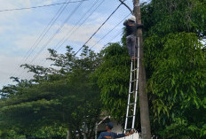 66 Titik PJU PLN Rusak, Dishub Lakukan Perbaikan