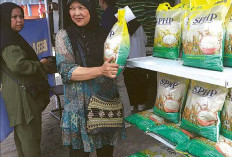 SPHP Diperluas ke Ritel Modern Strategi  Pemerintah Tekan Gejolak Harga Beras