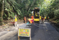 32 Kilometer Jalan Diperbaiki, Akses Liwa–Krui Kini Membaik