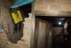Rumah Sekdes Diseruduk Gajah
