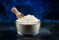 Mengenal Whey Protein dan Manfaatnya untuk Kesehatan