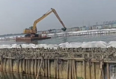 Pagar Laut dari Bambu Ditemukan di Perairan Bekasi, KKP Pertimbangkan Tindakan