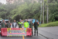 Jalan Terancam Putus, Kendaraan Tonase Diatas 2 Ton Diminta Tak Melintas di Jalur Liwa-Krui 