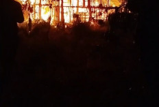 Kebakaran Berulang di Suoh-BNS,  Jalan Rusak Jadi Masalah Utama