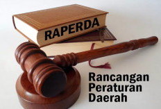 Tahun Ini, DPRD Pesisir Barat Siap Bahas Ranperda Tertunda 