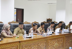 Jembatan Way Pemerihan Bakal Dibangun Pemkab