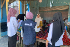 Masih Stabil, Tidak Ada Kenaikan Harga Bawang di Pesisir Barat