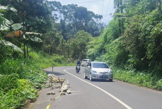 Ruas Jalan Liwa–BTS Sumsel  di Padangcahya Amblas