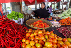 Harga Komoditas Pangan di Pesisir Barat Stabil