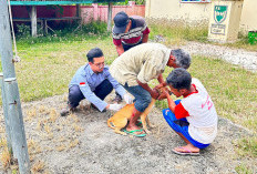 Cegah Penularan Rabies,  Puskeswan Lumbokseminung  Galakkan Vaksinasi Rutin