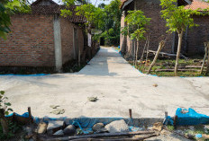 Pekon Way Suluh Bangun Jalan Penghubung