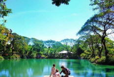 Menutup Tahun dengan Perjalanan, Empat Kota Menarik untuk Liburan Akhir Tahun