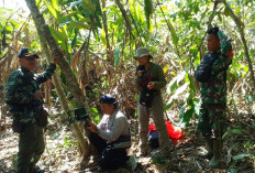 Waspada! Tim Gabungan Temukan Jejak Kaki Harimau di BNS