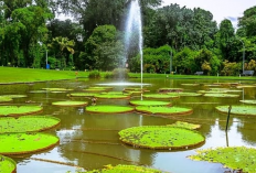 7 Tempat Wisata Hemat di Bogor yang Wajib Dikunjungi