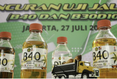 Program Biodiesel B40 Dimulai Januari 2025, Pemerintah Jamin Siap