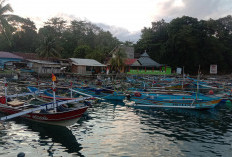 Didominasi Pelabuhan Tradisional,  Pesisir Barat Baru Miliki Dua Pelabuhan Nelayan