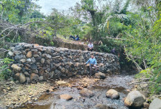 Longsor di Perkebunan Warga   Serungkuk Telah Ditangani