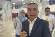 Dasco Sebut Ahok Sebagai Komisaris  Harus Terima Laporan dan Audit Pertamina