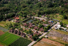 Kemenpar dan BCA Sertifikasi  10 Desa Wisata Berkelanjutan,   Dorong Pariwisata Ramah Lingkungan