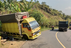 Truk Bermuatan Plastik Terperosok 