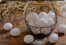 Manfaat Telur Ayam Kampung dan  Lebih Sehatkah dari Telur Biasa?