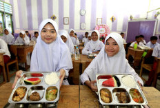 Cakupan Program Makan Bergizi Gratis  Ditargetkan Tembus 20 Juta Penerima 