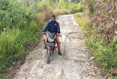 Jalan Antar Pemangku di Tanjungraya Butuh Sentuhan Pembangunan