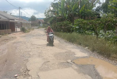Warga Pertanyakan Pembangunan Akses Jalan ke SMAN 1 Waytenong 